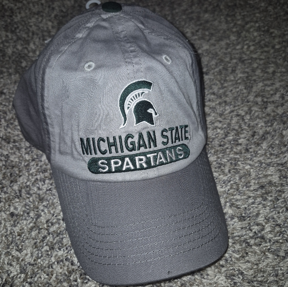 Michigan State Spartans Gray Cap